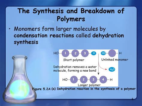 The Structure and Function of Macromolecules - ppt download