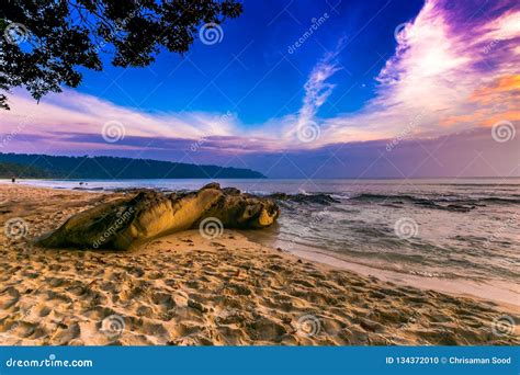 Sunset at Radhanagar Beach Havelock Stock Photo - Image of green ...