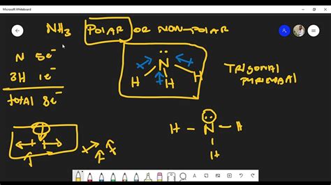 Is NH3 (Ammonia) Polar or Non-Polar? Lewis Structure - YouTube