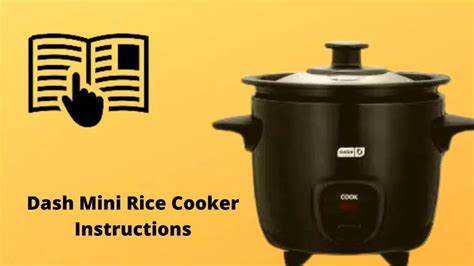 Dash Mini Rice Cooker Instructions - How To Use?