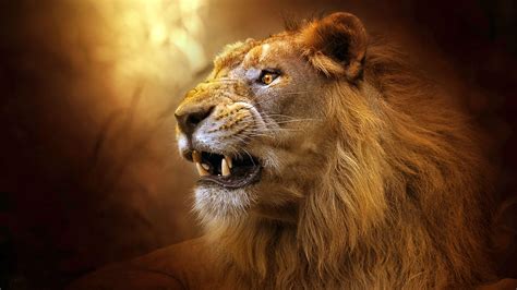 Roaring Lion Wallpapers - Top Free Roaring Lion Backgrounds ...