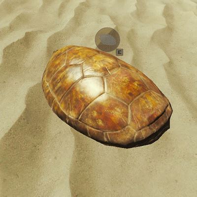 Turtle Shell - Crafting Material - The Forest: Map