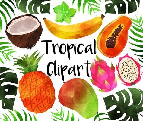 Watercolor Tropical Fruit Clipart Instant download Tropical | Etsy ...