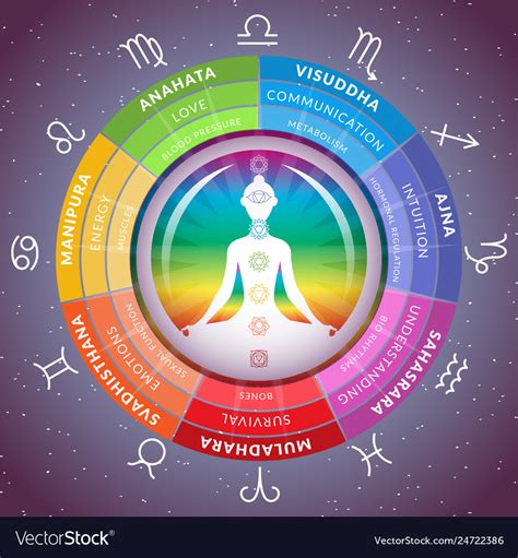 Yoga chakras infographics with meditating girl Vector Image