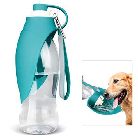 Top 10 Best Travel Water Bottles for Dog 2020 | A Listly List