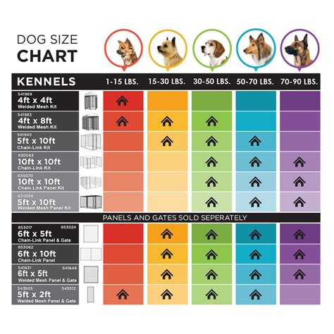 Dog Kennel Sizes Chart | Bruin Blog