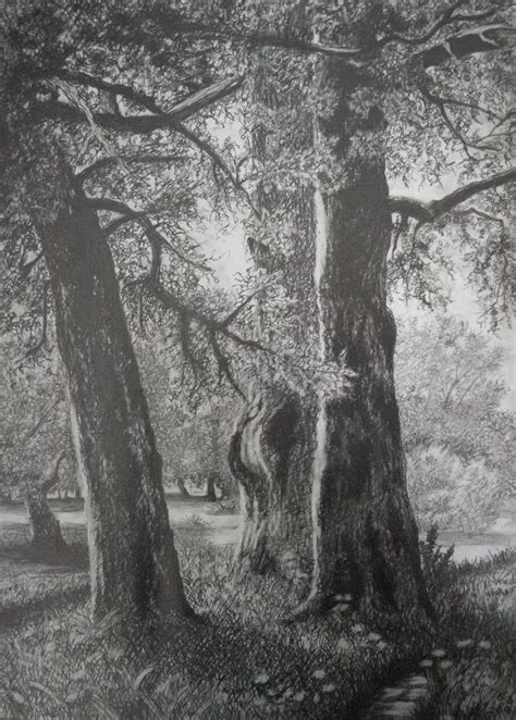 Pencil Drawing Landscape Drawing - Nino Gudadze