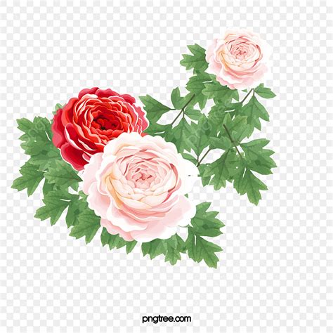 Minimalist Aesthetic PNG Transparent, Minimalist Aesthetic Flowers ...