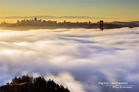 Fog City -- San Francisco | Flickr - Photo Sharing!