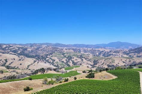 Napa and Sonoma 2023: Harvest forecast - Decanter