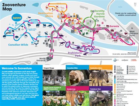 a map with animals and places to go on it, along with directions for ...