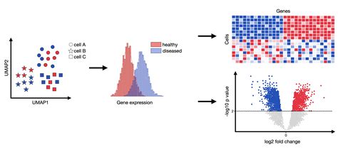 16. Differential gene expression analysis — Single-cell best practices