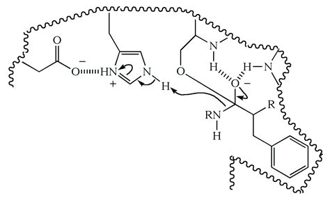 Illustrated Glossary of Organic Chemistry - Serine protease