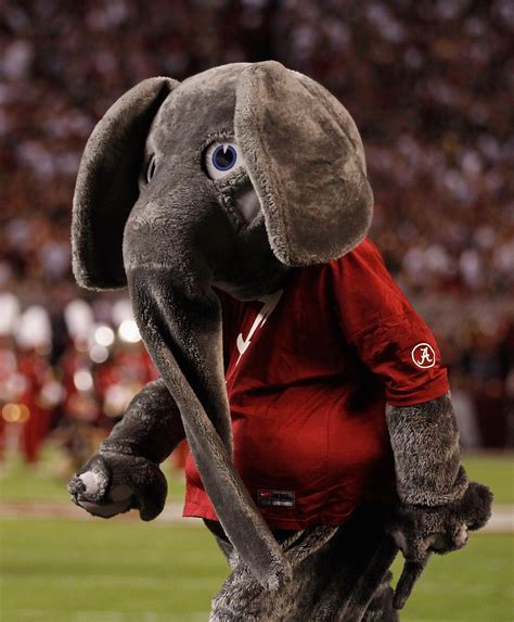 College Football 2011: The 10 Dumbest, Ugliest Mascots in the Sport ...