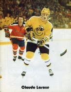 Cincinnati Stingers 1975-76 roster and scoring statistics at hockeydb.com