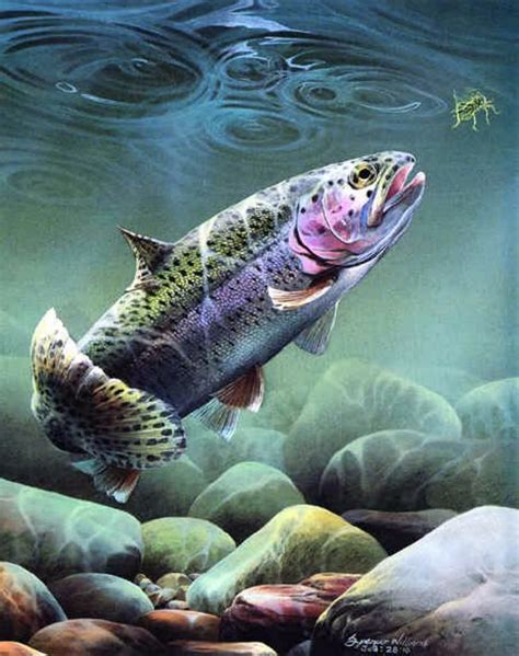 Wildlife Artwork, Wildlife Paintings, Animal Paintings, Fish Paintings ...