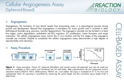 Angiogenesis Assay Service for Drug Discovery | Reaction Biology