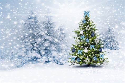 Snow Covered Christmas Tree Wallpapers - Wallpaper Cave