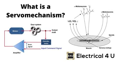 Servomechanism | Theory and Working Principle of Servo Motor | Electrical4U