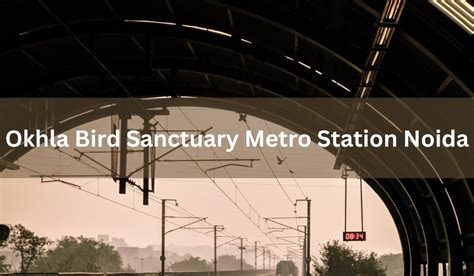 Okhla Bird Sanctuary Metro Station Noida: Location, timings, route