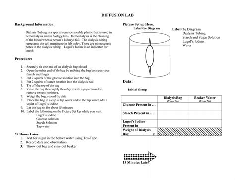 DIFFUSION LAB