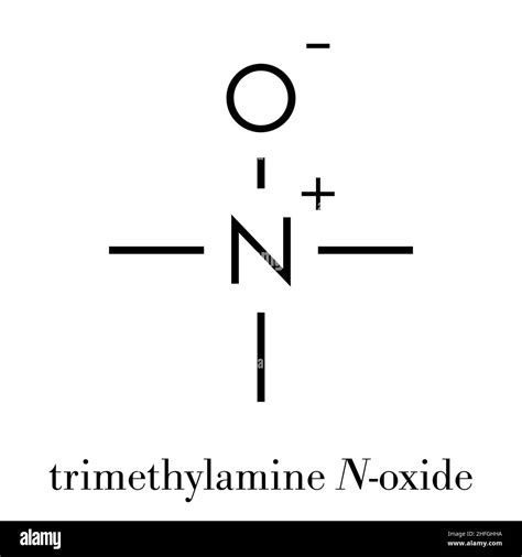 Trimethylamine N-oxide (TMAO) molecule. Skeletal formula Stock Vector ...