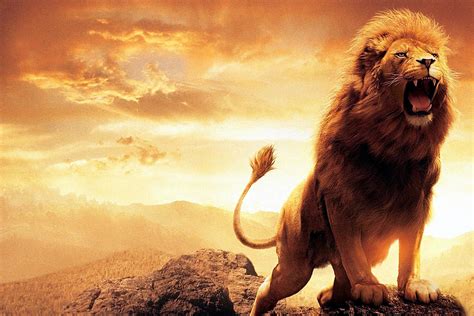 Lion Roaring Wallpapers - Top Free Lion Roaring Backgrounds ...