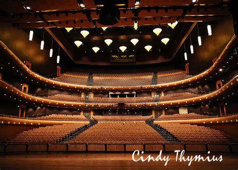 Cannon Center: Memphis Engagement Photographer - Cindy B. Thymius ...