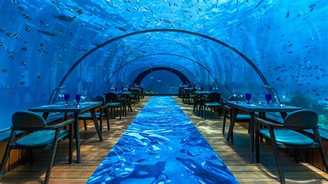 5.8 Undersea Restaurant – Maldives underwater restaurant