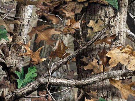 🔥 [80+] Realtree Camo Wallpapers | WallpaperSafari