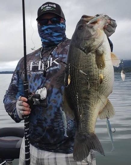 California's Clear Lake Produced A Giant During Pre-Fishing | OutDoors ...