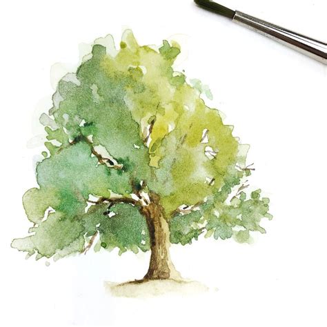 Watercolor Oak Tree | Tree watercolor painting, Watercolor trees, Tree ...