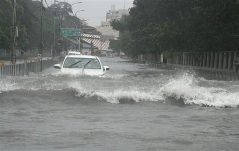 Cyclone Michaung brings heavy rains to Chennai; crocodile sightings ...