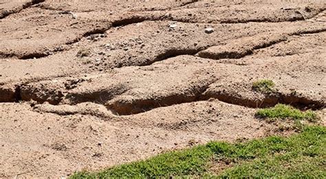 Water Erosion: Different Types And Prevention Measures