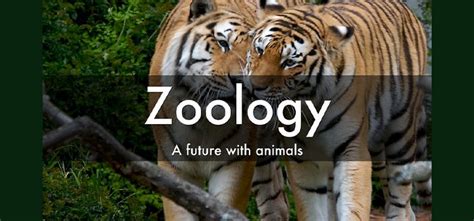 Career After Bsc Zoology In India – CollegeLearners.com