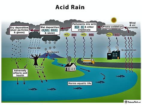 Acid Precipitation Cycle