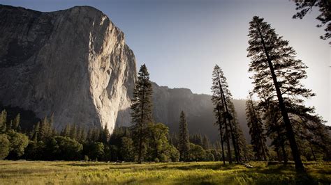 nature, Landscape, Pine Trees, Sky, Rocks, Mountains, Grass, Ground ...