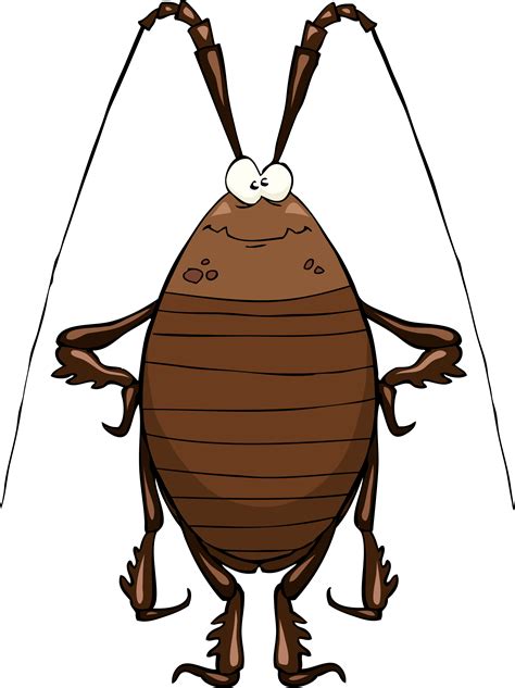 Cartoon Cockroach drawing free image download