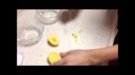 Osmosis In Potato Experiment