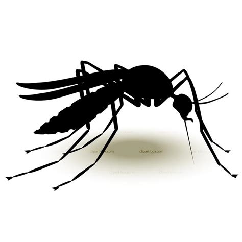 mosquito png - Clip Art Library