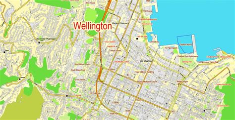 Map Of Wellington Nz - Super Sports Cars