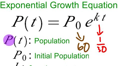 Exponential Decay Function Equation