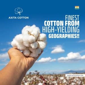 Announcement: Axita Cotton Announced Share Buyback at Rs.56 and ...