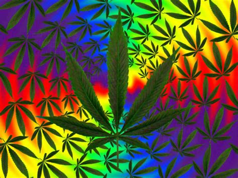 [100+] Psychedelic Weed Wallpapers | Wallpapers.com