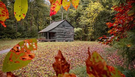 Smoky Mountain Fall Foliage