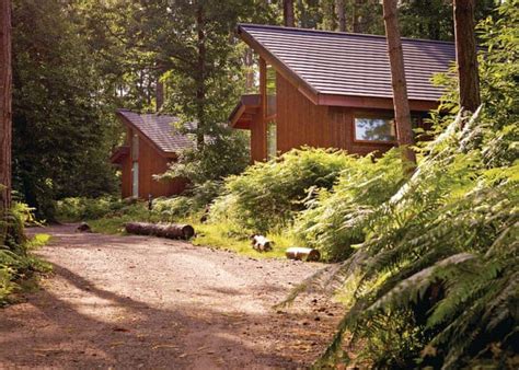 Sherwood Forest Lodges in Sherwood Forest, Nr Edwinstowe | Hoseasons