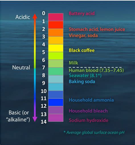 The pH scale with some common examples | Cream of tomato soup, Cream of ...