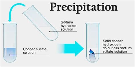 Precipitation - Assignment Point