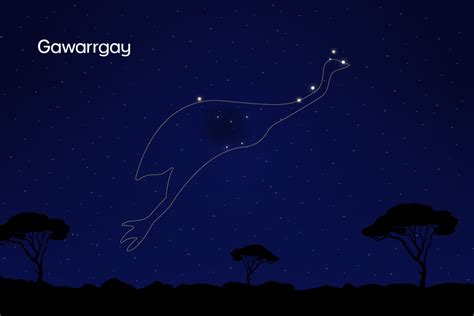 Discover the Indigenous Night Sky | Learn | NOTEWORTHY at Officeworks