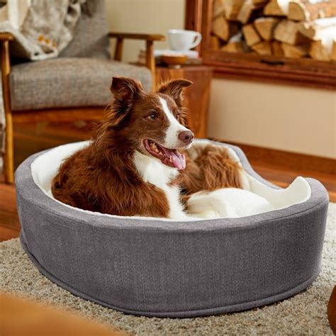 FRISCO Bolster Cat & Dog Bed, Gray, X-Large - Chewy.com